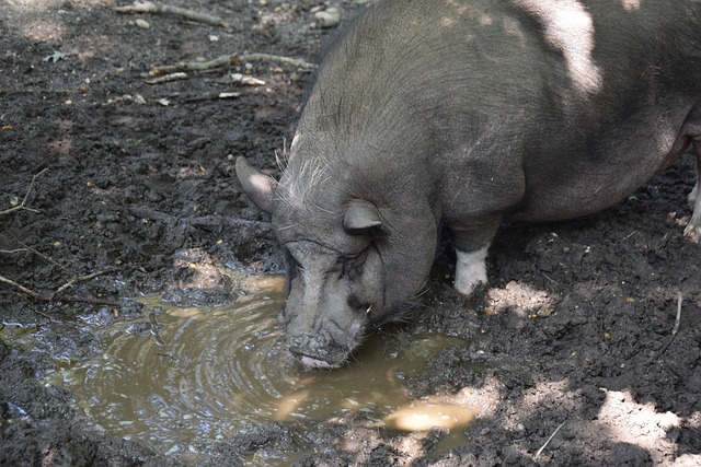 凭借亚历山 凭借亚历山