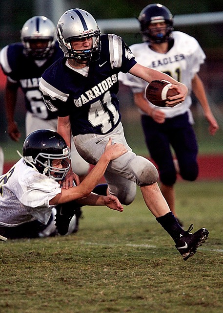 丹佛掘金隊 丹佛掘金隊